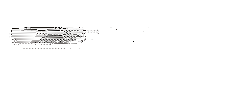 HOKI11 Logo